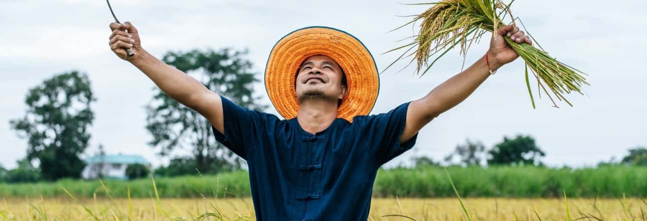 NBA对位分析